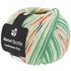 Lana Grossa MEILENWEIT 100g Cashmere City (ABOUT BERLIN) | 877-