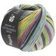 Lana Grossa MEILENWEIT 100g Cotton Bamboo Limone | 2366-