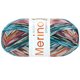 Lana Grossa MEILENWEIT 100g Merino Extrafine Meran | 2581-vaaleanharmaa/antrasiitti/oranssi/roosa/turkoosi/pullonvihreä/vadelma