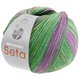 Lana Grossa MEILENWEIT 100g Seta Piano | 3612-
