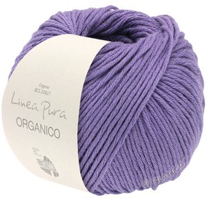 Lana Grossa ORGANICO  Uni (Linea Pura) | 151-violetti