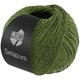 Lana Grossa SETAPURA | 18-avocadon vihreä