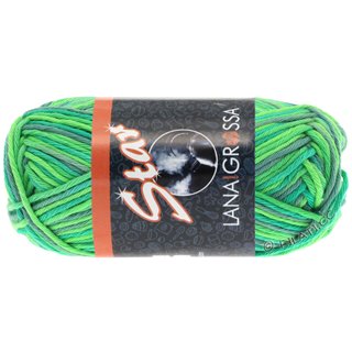 Lana Grossa STAR Print