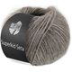 Lana Grossa SUPERKID SETA | 020-taupe