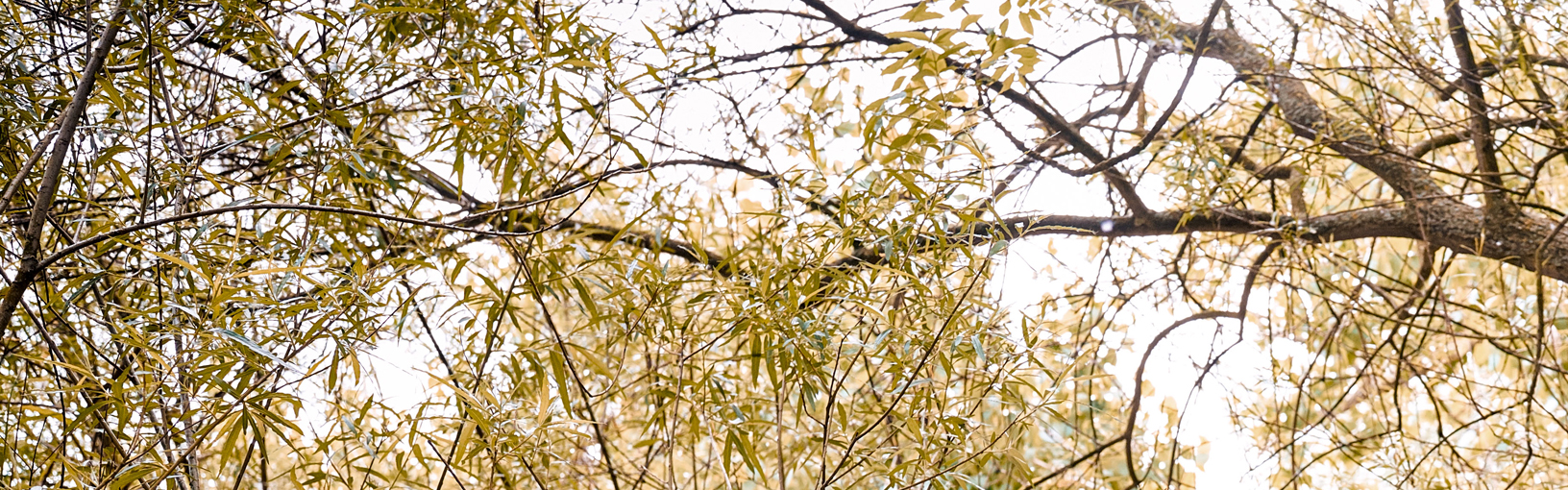 Alennustuotteet Ale | Gomitolo